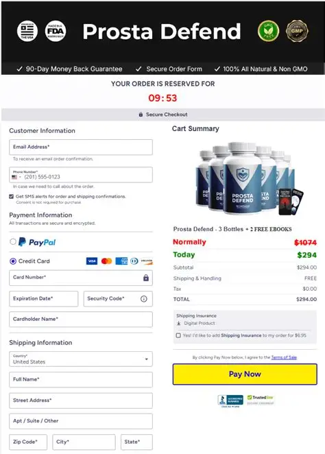ProstaDefend Secure Payment Interface
